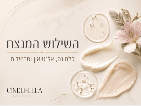 השילוש המנצח קלמינה אלנטואין וסרמידים